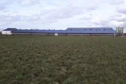 Bigger view of Waarom Bio-eieren?